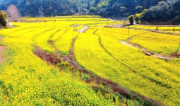 游记 | 彩色油菜花的浪漫春天